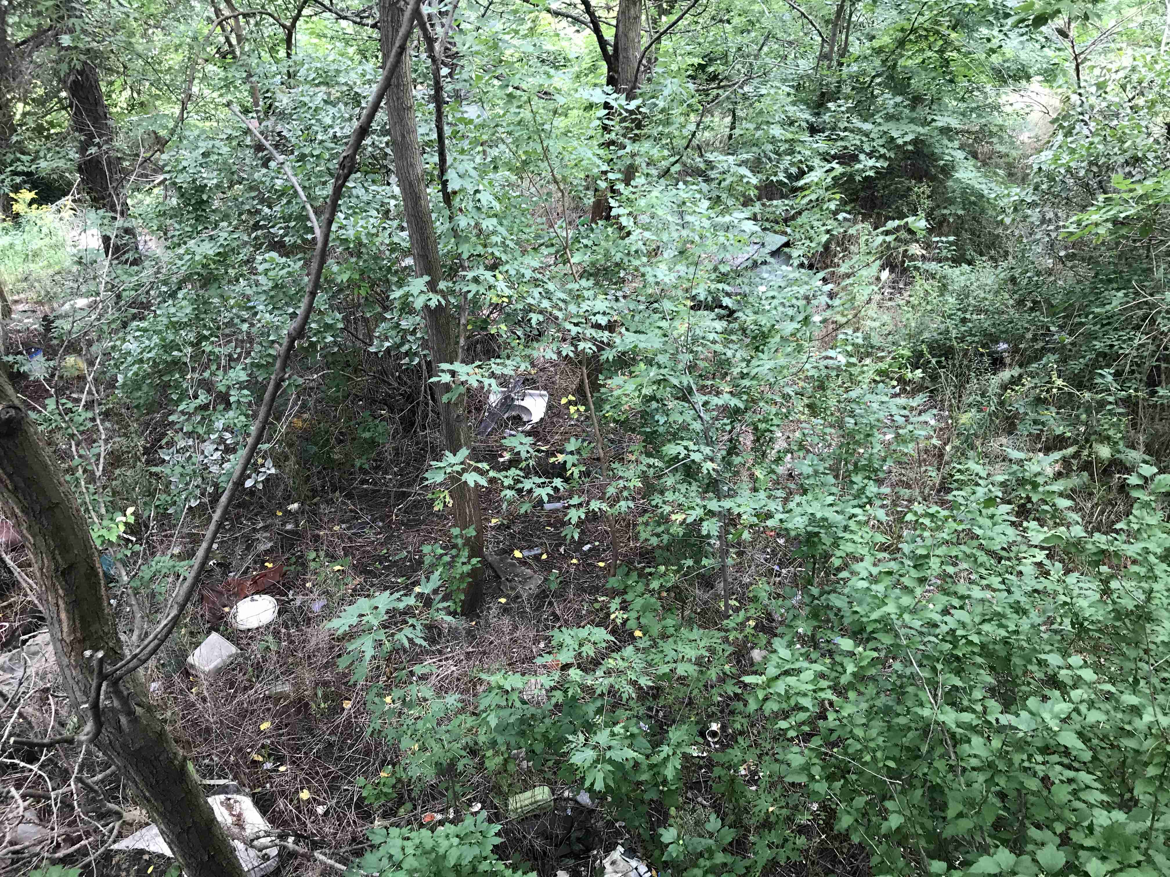 Photo Sep 10, 12 48 01 PM.jpg